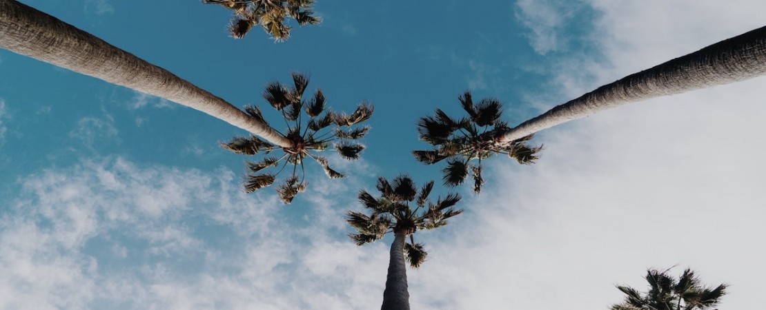 Vacances et SII : 8 Conseils pour un départ sans prise de tête